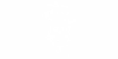 Autoaufkleber Skull King