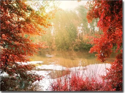 Fotofolie Herbst