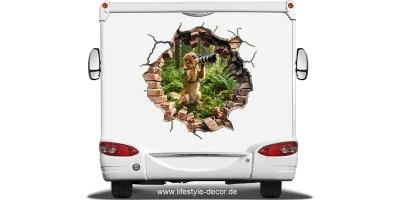 Eigenes Foto als HundeaufkleberLoch in der Steinwand