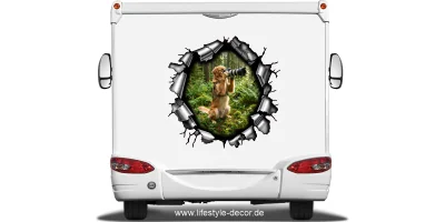 Eigenes Foto als Hundeaufkleber Metallloch auf hellem Heck eines Wohnmobils