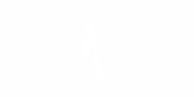 Autoaufkleber Afrika Elefant