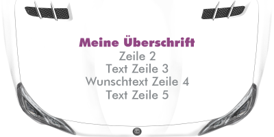Fahrzeugbeschriftung Textblock | 24 auf Motorhaube