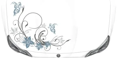 Farbiger Autosticker Tagtraum auf heller Motorhaube