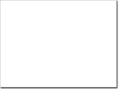 Außenwandtattoo Blumen