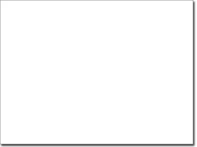 Fensterdeko Feder mit Vögel