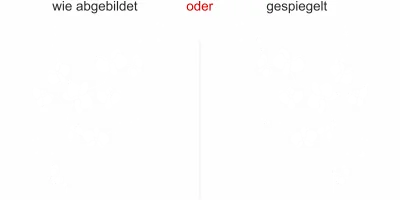 Fensterfolie Pflanze Orchidee - Ansicht Ausrichtung und Farbauswahl