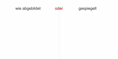 Fenstertattoo mit einer verspielten Pusteblume - Ansicht Ausrichtung und Farbauswahl