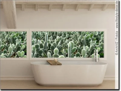 Sichtschutzfolie eines Kakteenfeld für das Badezimmer