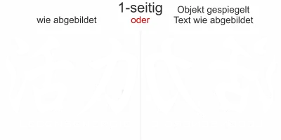 Glas Aufkleber Chinesisches Zeichen Lebensenergie - Ansicht Ausrichtung mit Farbauswahl