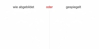 Glasaufkleber Japanischer Strauch - Ansicht Ausrichtung und Farbauswahl