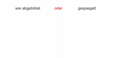 Glassticker Schildkröte