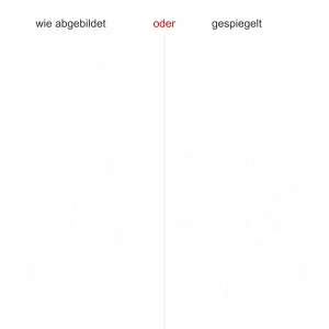 Glastattoo Schmetterlingzauber - Ansicht Ausrichtung und Farbauswahl