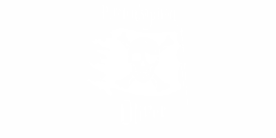 Piratenkapitän