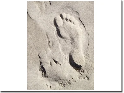 Türposter Fuß im Sand
