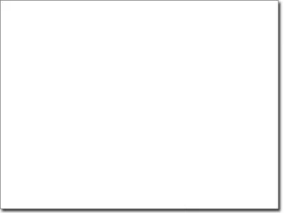 Wandsticker Bambus
