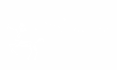 Wandaufkleber Sternzeichen Schütze