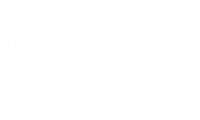 Wandaufkleber Sternzeichen Skorpion