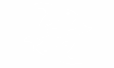 Wandtattoo Sternzeichen Fische