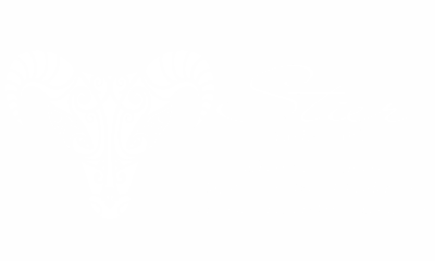 Wandaufkleber Sternzeichen Stier