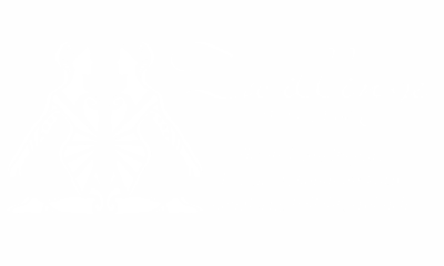 Wandaufkleber Sternzeichen Zwillinge