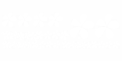 Wandtattoo Set mit Deko Blumen - Ansicht Farbauswahl