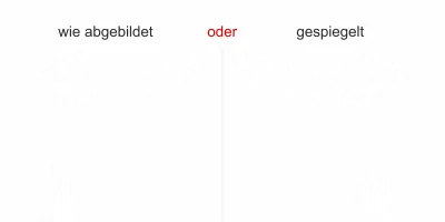 Wandtattoo mit Löwenzahn - Ansicht Ausrichtung und Farbauswahl