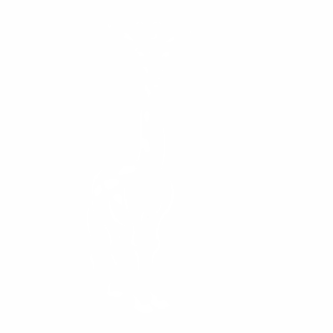 Wandsticker Giraffe - Messlatte