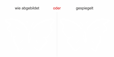Wandsticker Schmetterling