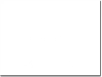 Wandtattoo Wild and Free