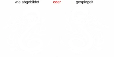 Wandtattoo mit tollem Drachen Fluitare - Ansicht Ausrichtung mit Farbauswahl