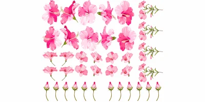 Wandtattoo Hibiskus Blütenset zur freien Anordnung