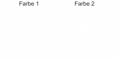 Mehrfarbiges Wandtattoo Bambuszweig mit Vogel - Ansicht Farbauswahl