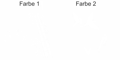 Mehrfarbiges Wandtattoo Bambusrohr mit Vögeln - Ansicht Farbauswahl