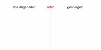 Pampasgras und Vögel im Wind - Ansicht Ausrichtung mit Farbauswahl