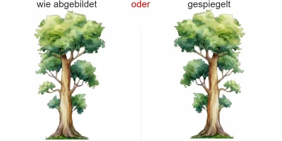 Wandtattoo Pappel - Ansicht Ausrichtung