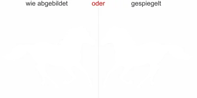 Wandtattoo mit Pferd - Ansicht Ausrichtung mit Farbauswahl