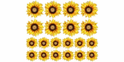 Wandtattoo Sonnenblumen Set zur freien Anordnung