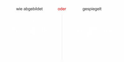 Wandtattoo Yin-Yang Drache